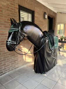 thumbnail_IMG_0992